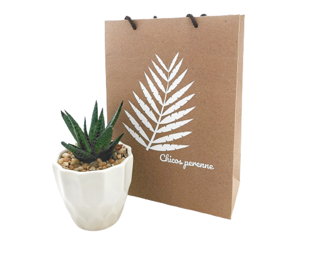 producto chicos perenne